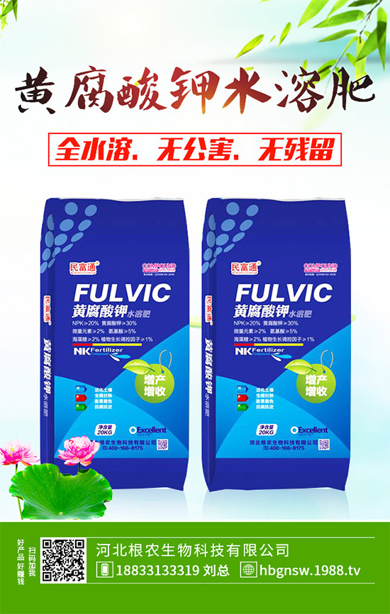 茼蒿該怎么吃？茼蒿的營養(yǎng)吃法及注意事項