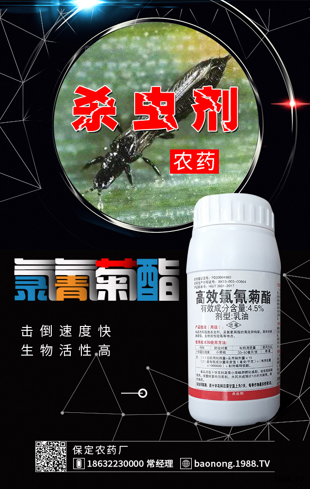 冬棚黃瓜薊馬防治要點(diǎn)有哪些？黃瓜薊馬防治技巧