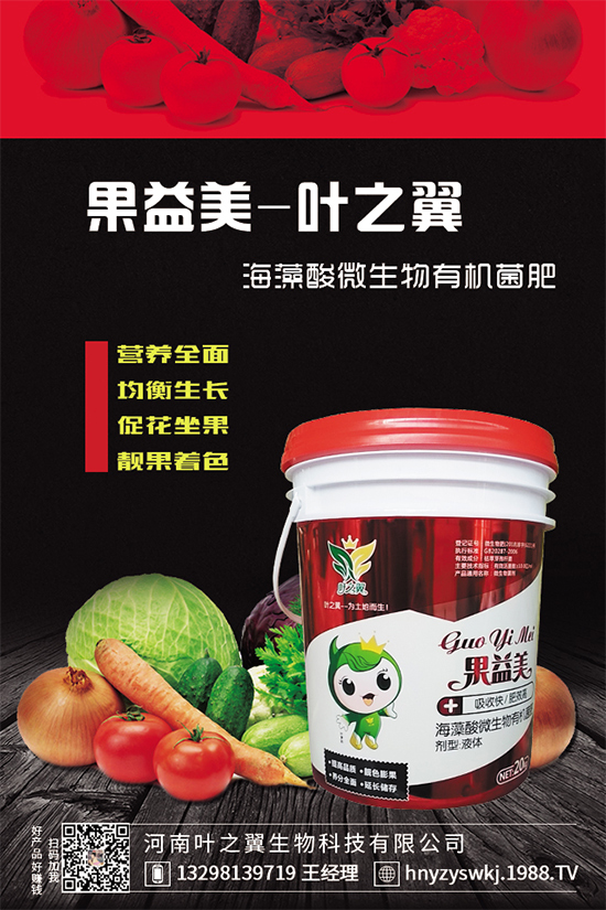 芒果樹環(huán)割的好處，給芒果樹環(huán)割需要注意什么？