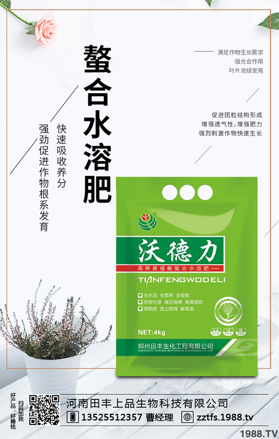 卷心菜有哪些營養(yǎng)價(jià)值？吃卷心菜有哪些好處？教你吃出健康！