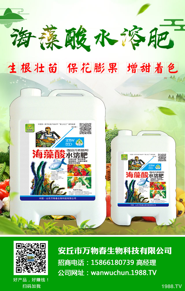 蘋果樹枝干病害怎么辦？警惕蘋果樹三種枝干病害