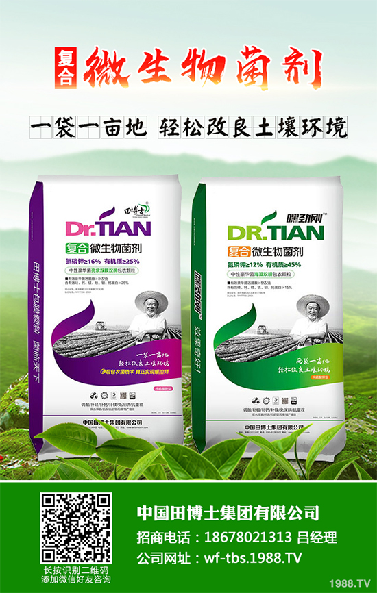 種植重樓能賺錢嗎？重樓種植前景及效益分析