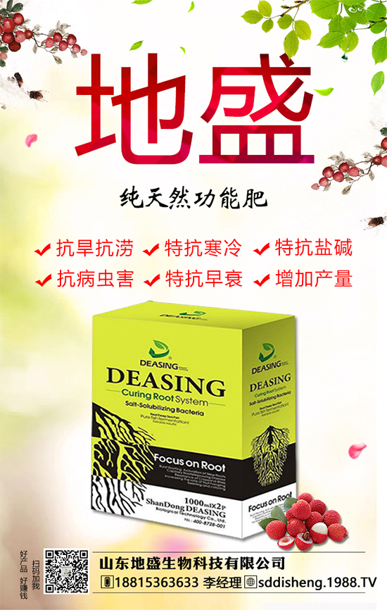 油茶樹的種植管理方法，油茶樹的經(jīng)濟價值如何？