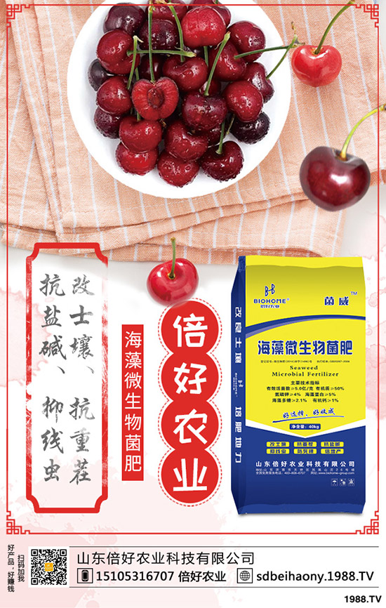    尿素行情走勢一般！2020年1月中旬尿素行價格后市預(yù)測！