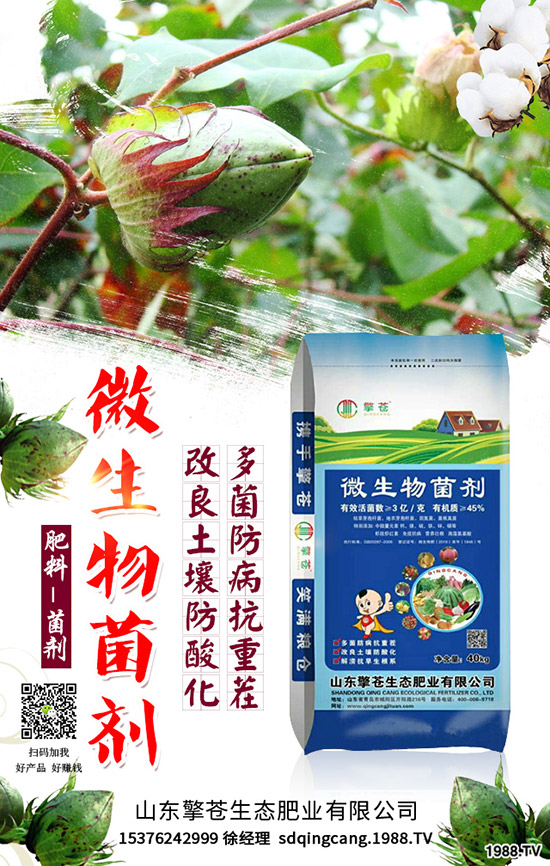     春節(jié)來臨！2020年1月尿素能否挺價？尿素行情走勢預(yù)測！