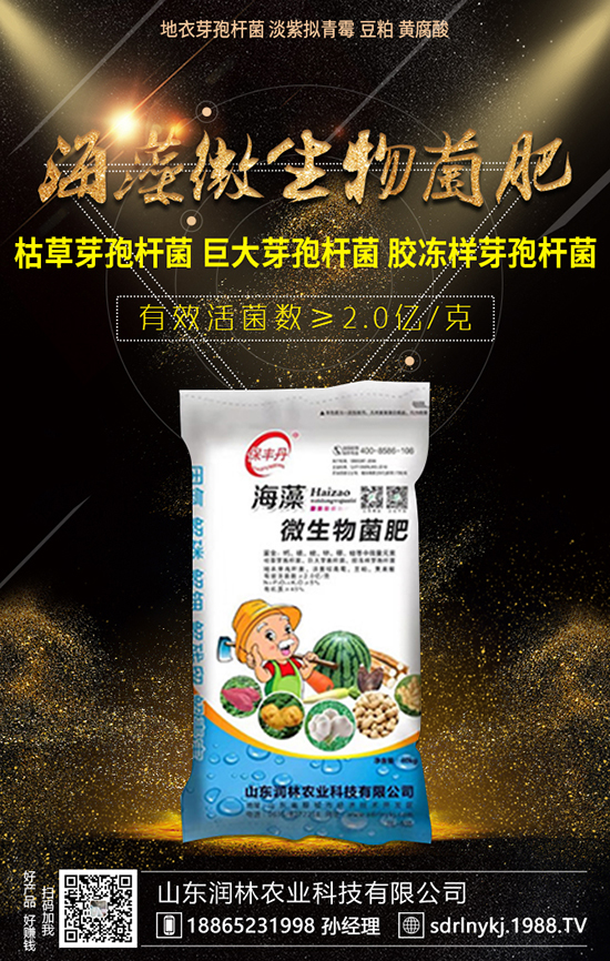 龍眼種植有三大要求，種植龍眼要考慮！