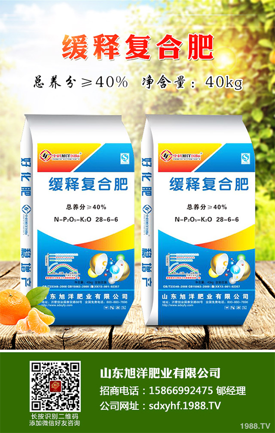 芹菜軟腐病來襲，到底該如何防治？芹菜軟腐病的危害與防治