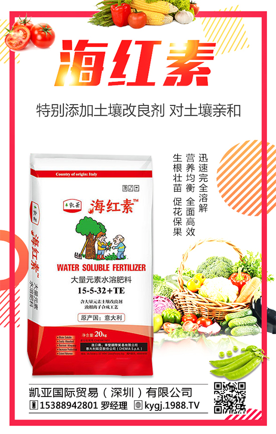 石榴樹幾年開花結果？石榴樹只開花不結果的原因！