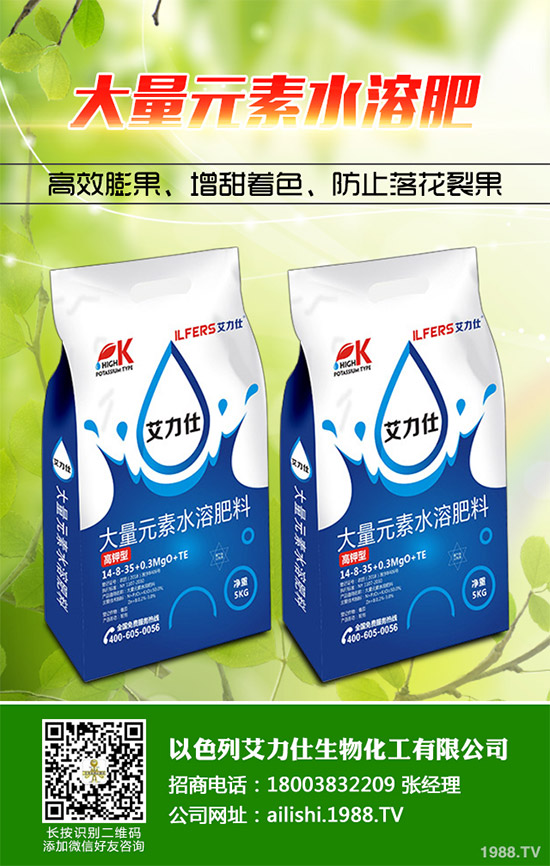 芹菜根腐病是如何發(fā)生的？該怎樣防治？快來看看吧！