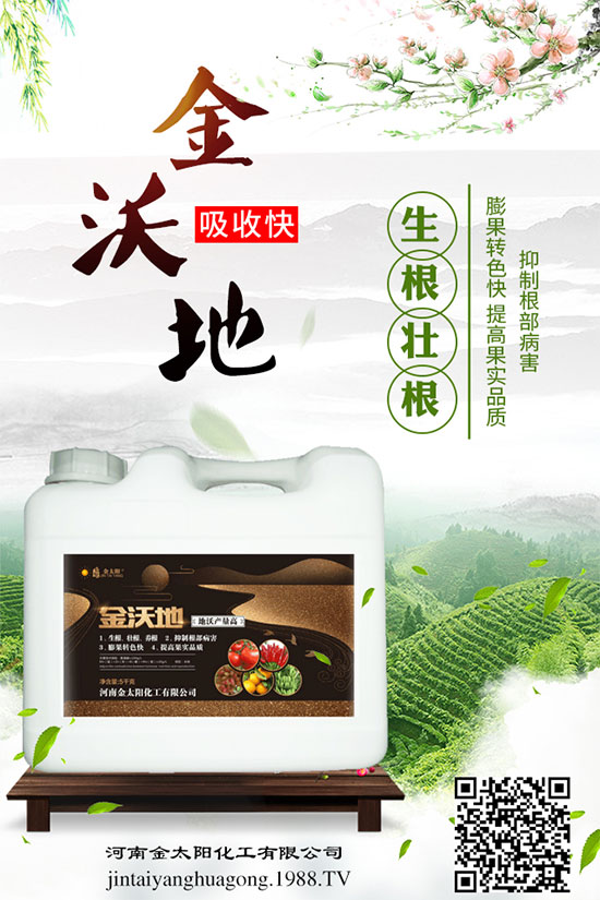 苦瓜白粉病癥狀及危害，苦瓜白粉病的防治妙招！