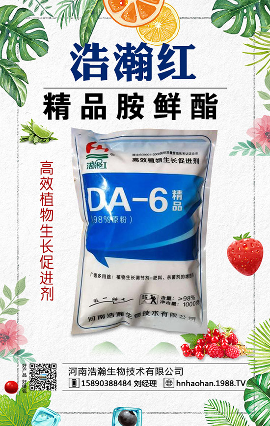 如何種植薰衣草？薰衣草的種植方法與注意事項(xiàng)！