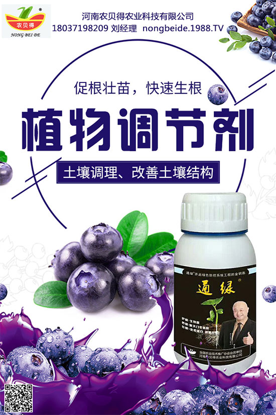 種植生姜施肥要點，生姜施肥用什么肥料？