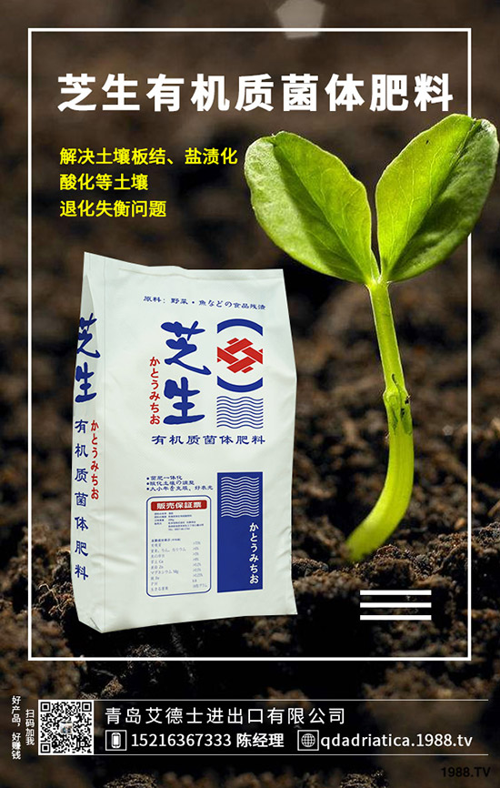 櫻桃有哪些營養(yǎng)價(jià)值，櫻桃的功效與作用是什么，如何選購？
