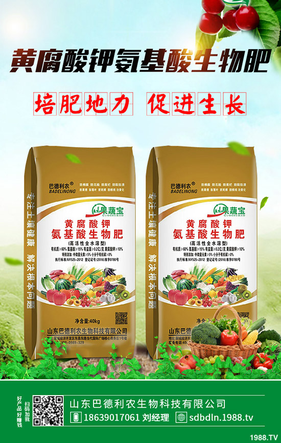     2020年春季馬鈴薯什么時候種植好？播種時間及種植注意事項！