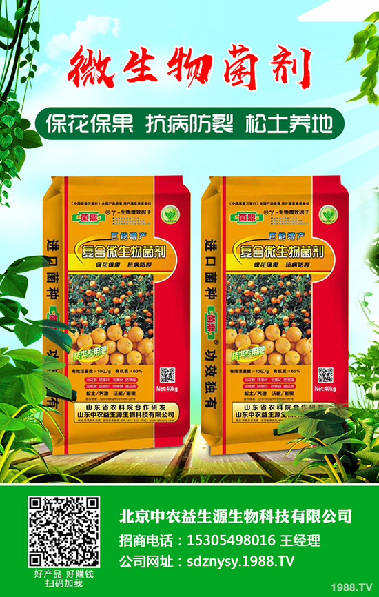     2020年磷肥價格旺不旺，就看春耕了！最新磷肥行情分析！