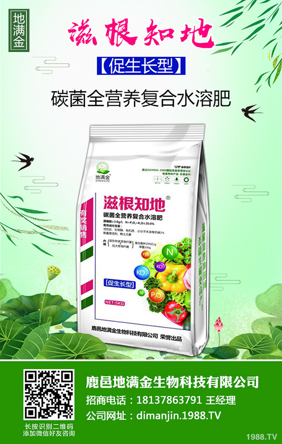     2020年1月3日復(fù)合肥行情依舊平淡！復(fù)合肥最新價(jià)格早報(bào)！