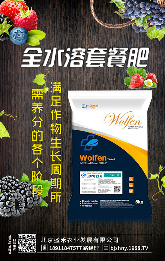 葫蘆種植時(shí)間是什么時(shí)候？葫蘆高產(chǎn)種植方法！