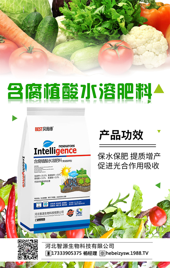 冬瓜要想吃不完，要學(xué)會(huì)冬瓜的科學(xué)種植！