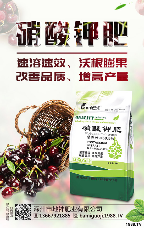 紅薯育苗時(shí)間是什么時(shí)候？紅薯育苗方法有哪些？