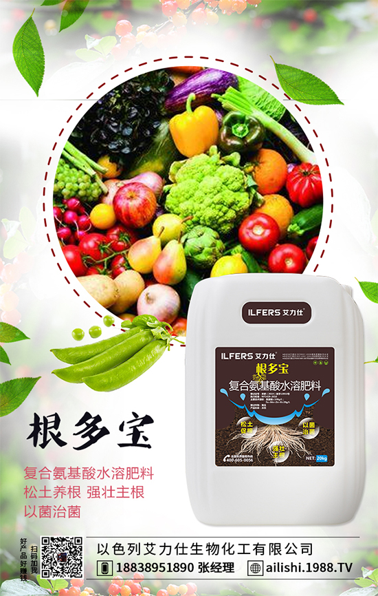 扁豆什么時(shí)間種植？扁豆高產(chǎn)栽培技術(shù)！