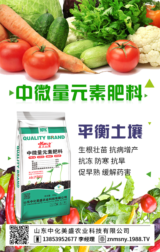 扁豆的營養(yǎng)成分，扁豆的食用禁忌！