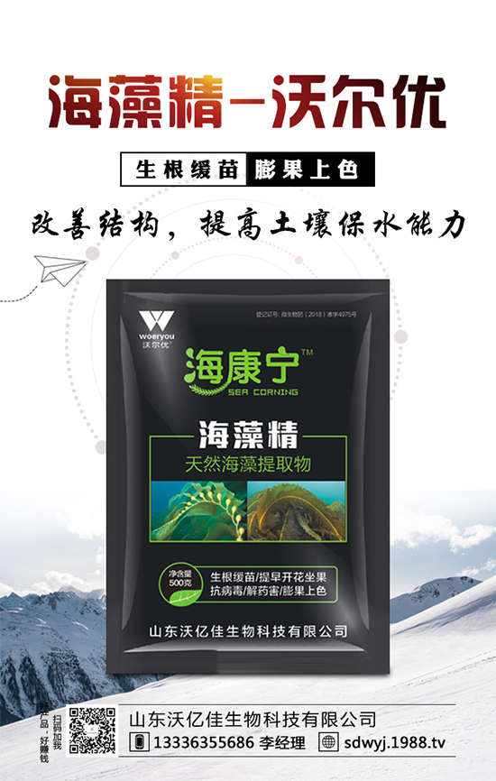 露地辣椒什么時(shí)候種植？露地辣椒高產(chǎn)種植技術(shù)