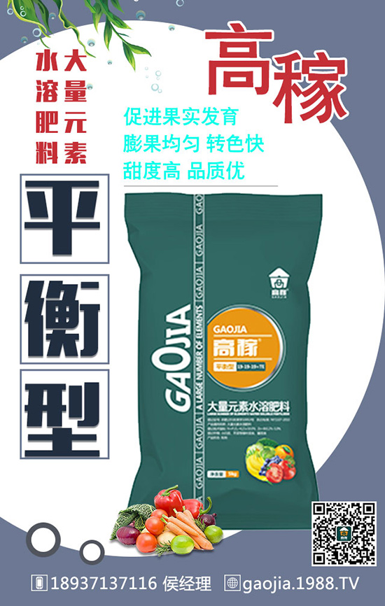 冬季拔高大蒜產(chǎn)量，離不開大蒜的合理管理！