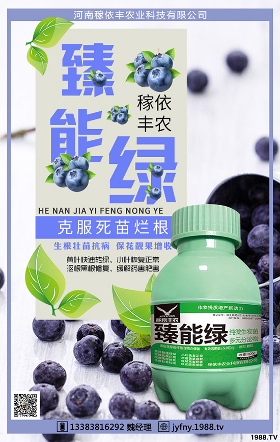 冬季大棚蔬菜如何應(yīng)對天氣變化，冬季大棚蔬菜管理要點(diǎn)！
