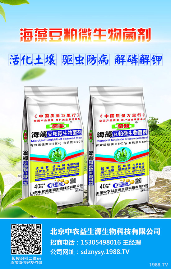 一月有什么農(nóng)事安排？1月蔬菜農(nóng)事安排指南及管理事項(xiàng)！