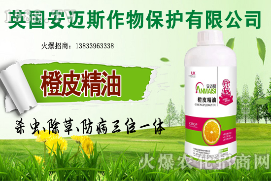 10月種植哪些蔬菜更合適？田間管理要重點(diǎn)抓好哪幾點(diǎn)？