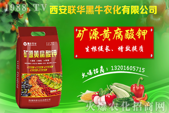 秋季果樹(shù)該如何管理？秋季果樹(shù)管理應(yīng)避免的四大誤區(qū)！