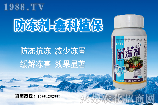 西葫蘆旺長(zhǎng)什么原因？西葫蘆如何控旺？西葫蘆旺長(zhǎng)補(bǔ)救措施！