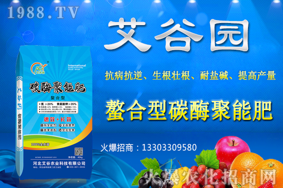 大豆價格抬頭還會繼續(xù)漲嗎？2020年秋季大豆價格預(yù)測