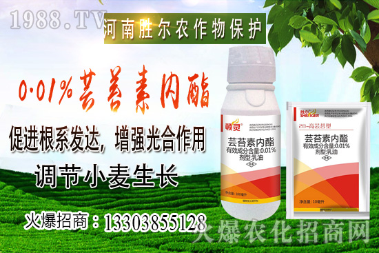 小麥價(jià)格上漲節(jié)奏逐漸興起，后市可期！10月22日小麥價(jià)格行情