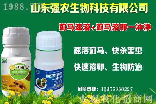 秋冬11月種植什么蔬菜比較合適？蔬菜種植注意事項(xiàng)！