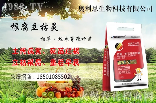 果樹栽培四大誤區(qū)有哪幾點？如何提高果樹栽植的成活率？