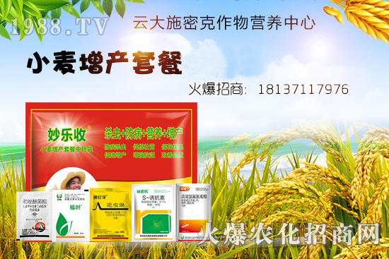 小麥播種后不出苗？是什么原因造成的？