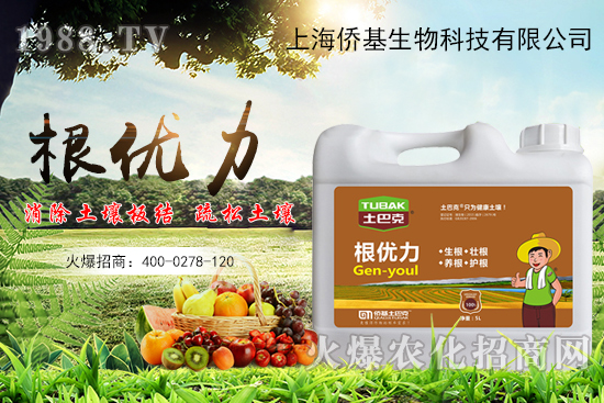 作物生根用什么肥？生根肥選擇有哪些？