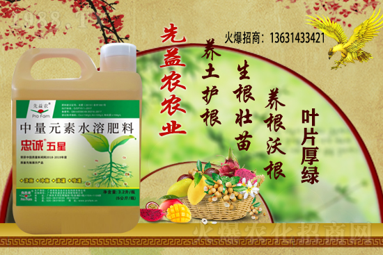 小麥價(jià)格多少錢一斤？今日小麥價(jià)格行情！