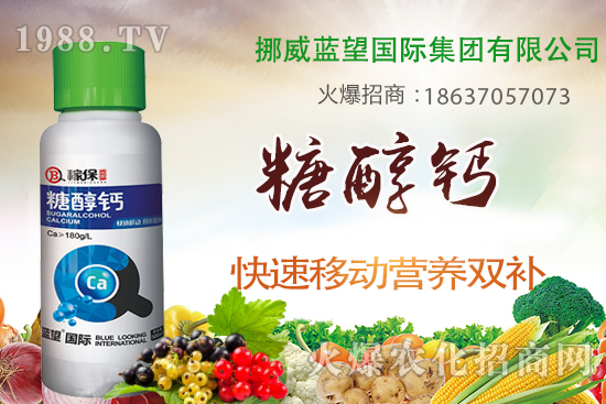 草莓缺鈣有哪些原因呢？草莓缺鈣癥狀及補(bǔ)救措施