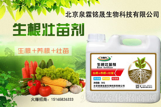 一豆難求！2020-11-25東北大豆上漲迅猛