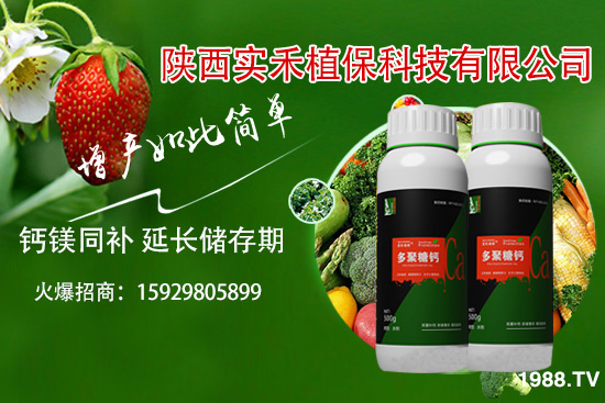 西紅柿卷葉是什么原因，西紅柿卷葉防治措施有哪些？