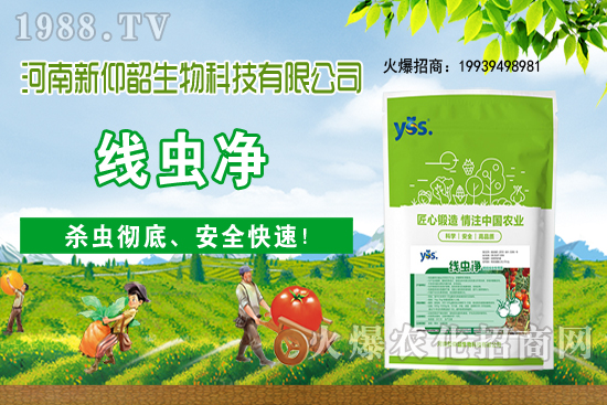 多肉植物該怎么澆水？多肉植物澆水要注意哪些問題呢？