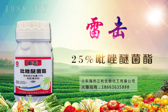魔芋價(jià)格多少錢一斤？2021年魔芋種植前景如何？