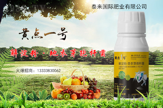 黃瓜葉片起“小黃點(diǎn)”是什么???防治方案有哪些?