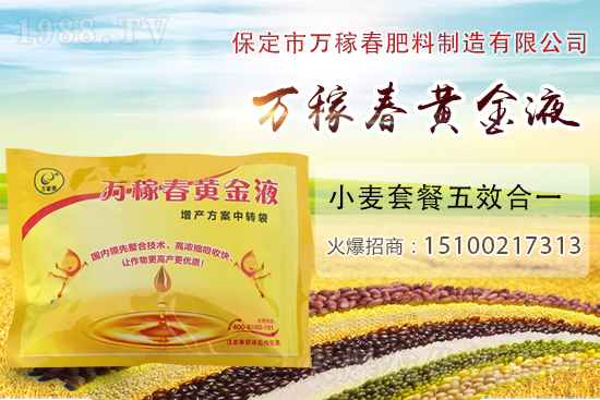 種植大蒜為什么要覆蓋地膜？地膜大蒜高產(chǎn)栽培及注意事項(xiàng)！