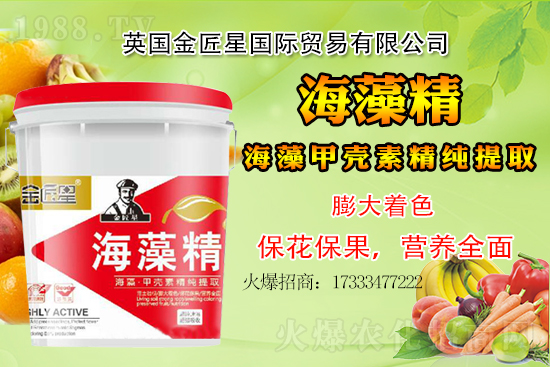 小麥價(jià)格還會(huì)出現(xiàn)大漲嗎？小麥行情總結(jié)！