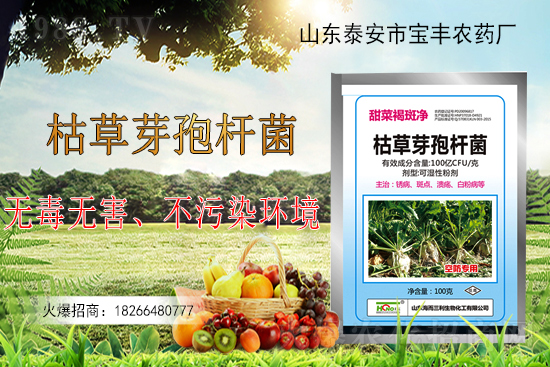 枯草芽孢桿菌能解決作物哪些問題？枯草芽孢桿菌在農(nóng)作物上的應(yīng)用！