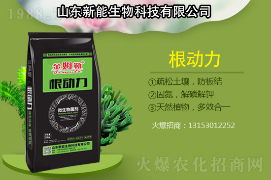 作物根部病害多原因在哪？解決病害生根措施怎么做？