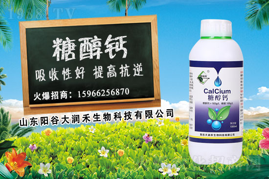 作物補(bǔ)鈣為什么要選擇糖醇鈣？糖醇鈣使用時期及使用效果！
